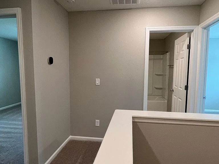 232 Mustard Hill Ct — Photo 59