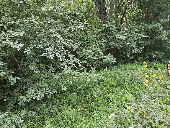 4th image of 14080-31 Mile Rd