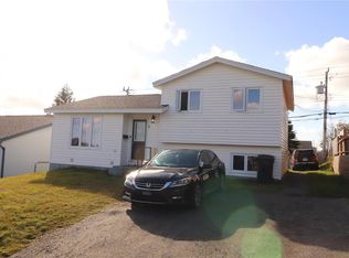 3 Frontenac Avenue, Mt. Pearl, NL A1N4V4
