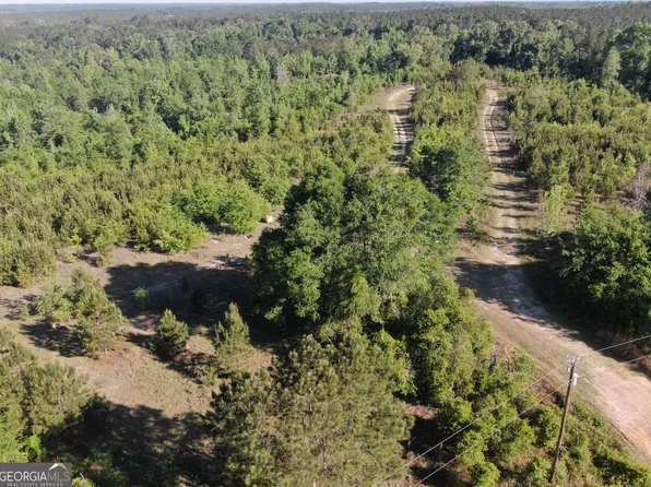 1451 Dr Mann Rd, Jacksonville, GA 31544