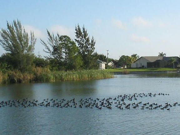 Large Waterfront Area
