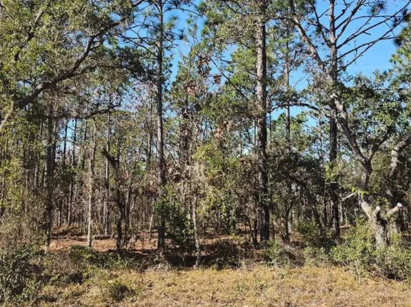 SE 136th Ter Lot 6, Dunnellon, FL 34431