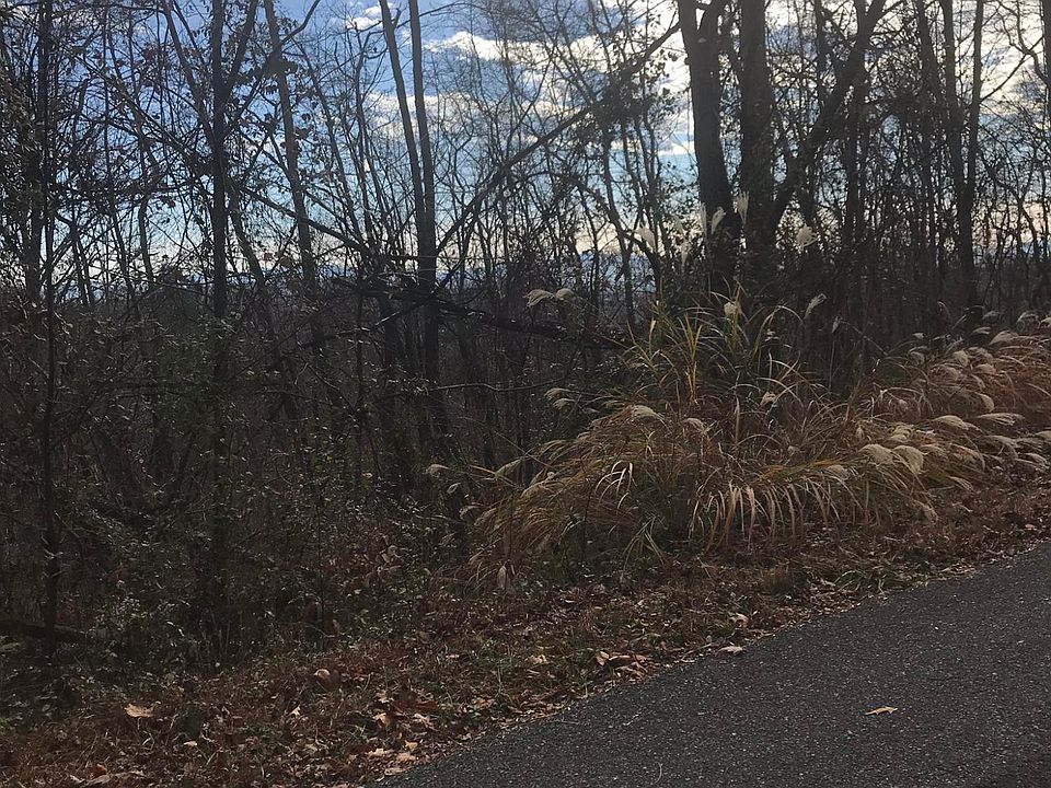 2nd image of 0 Ridgeheights Dr