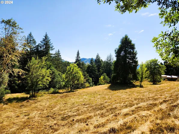 315 Degnath Gateway Ln, Winston, OR 97496