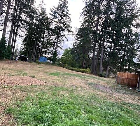 huge backyard