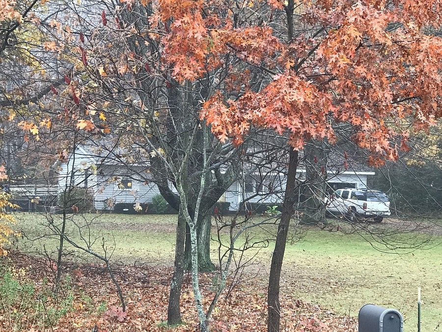 2nd image of 15235 138th Ave