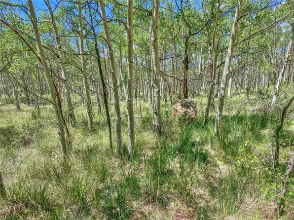 2919 Wells Fargo Cir, Jefferson, CO 80456