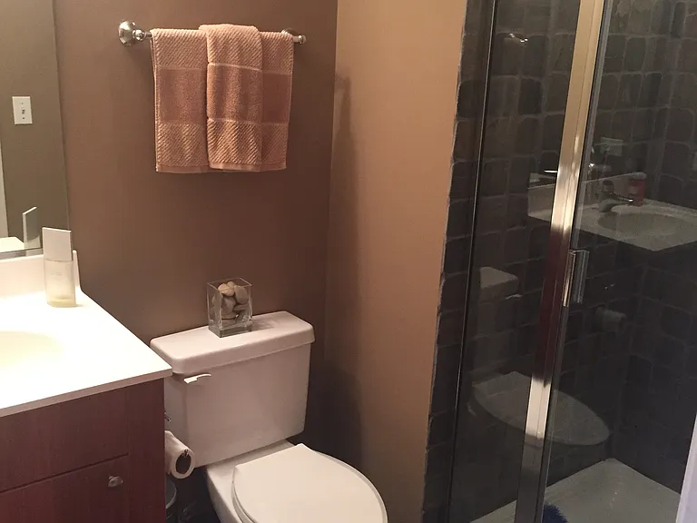 520 N Halsted St #302 — Photo 10