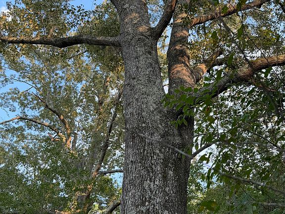 5th image of 0 Fire Tower Rd