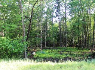 102 Balsam Dr, Indian Lake, NY 12842