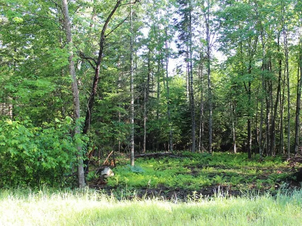 102 Balsam Dr, Indian Lake, NY 12842
