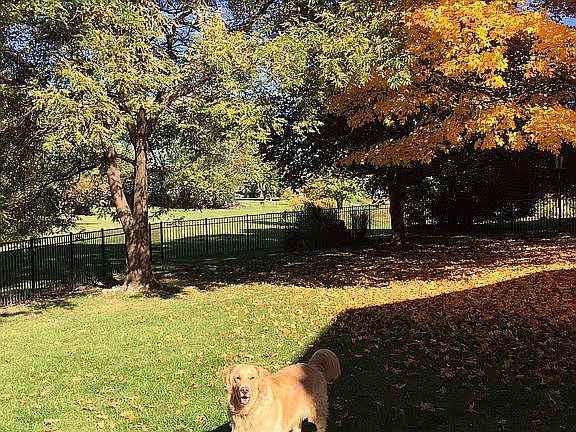 Fenced Yard - Overlooks Park