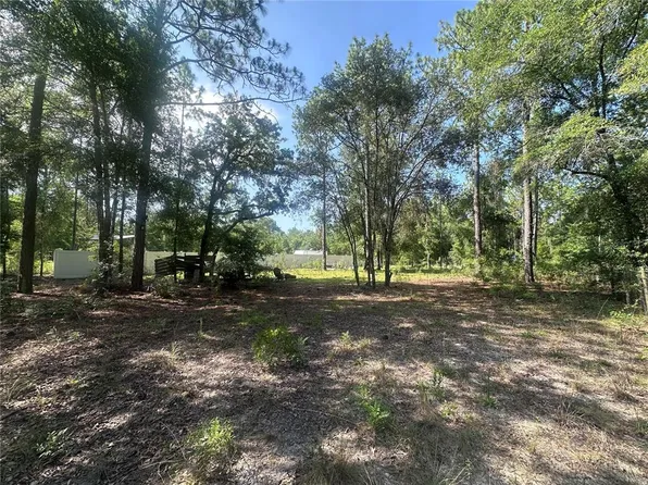 NE 3rd Pl Lot 4, Williston, FL 32696