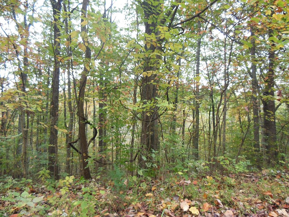 1st image of 0 Baxter Ln