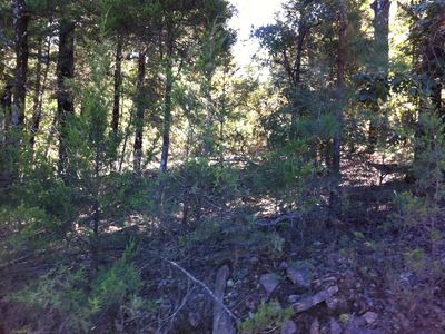 Tbd Shelby Ln, Cecil, AR, 72930