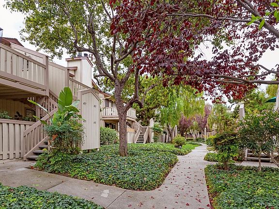 3rd image of 453 Coyote Creek Cir