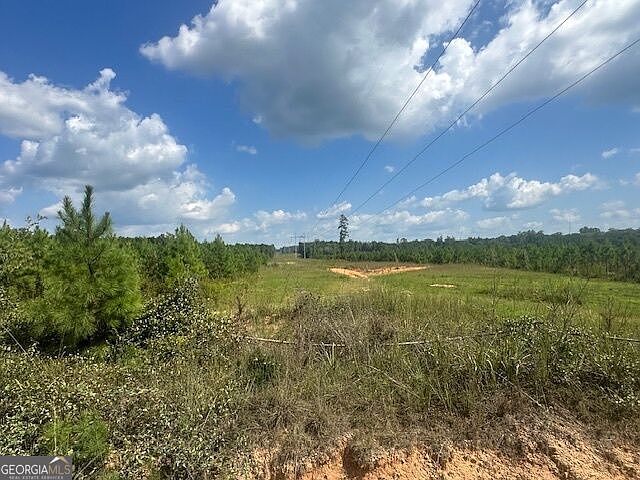 1st image of 0 Millen Rd Tract 20