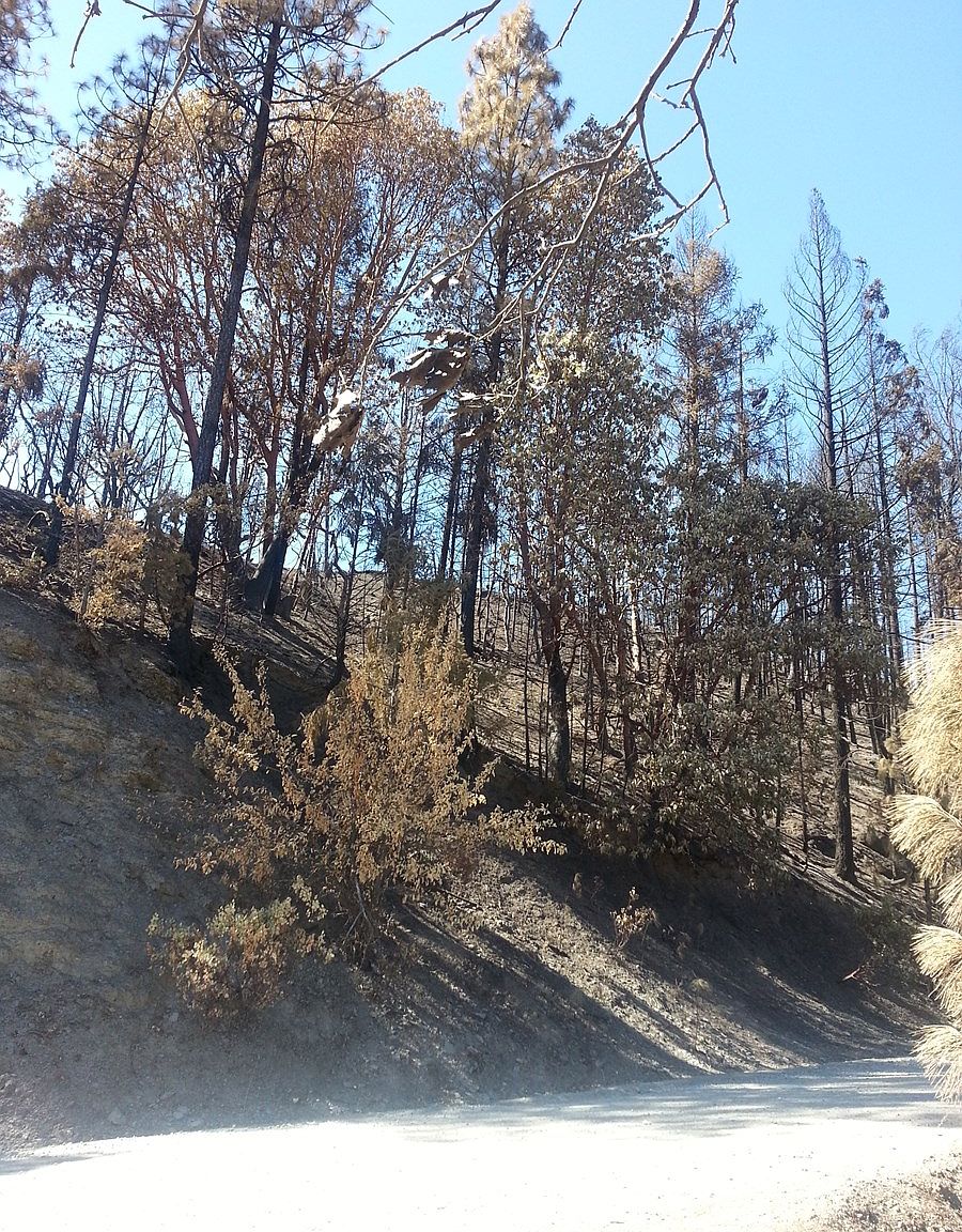 7120170 Middle Creek Ranch Rd, Klamath River, CA 96050 Zillow