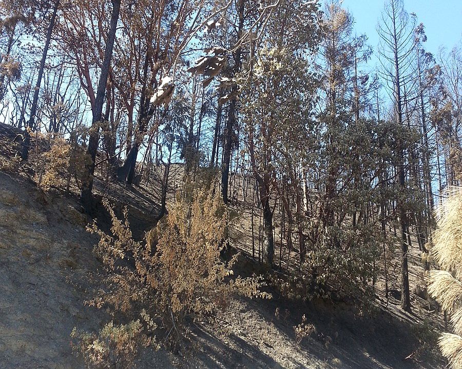 7120170 Middle Creek Ranch Rd, Klamath River, CA 96050 Zillow