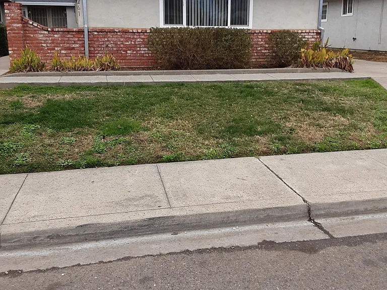 1261 S Jackson St #D — Photo 12
