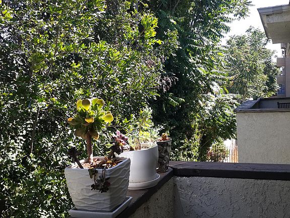Balcony- completely private and since unit is in the back, quiet and secure.