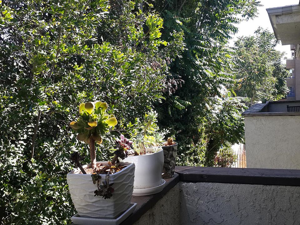 Balcony- completely private and since unit is in the back, quiet and secure.