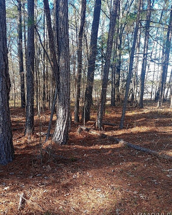 2nd image of 437 Hayneville Ridge Rd