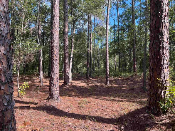 136 Georgetown Denver Rd, Georgetown, FL 32139