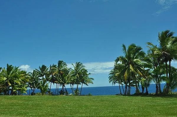 12-320 E Pohakupele Loop — Photo 8