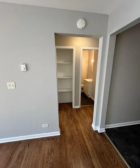 1519 Meyer St #6 — Photo 3