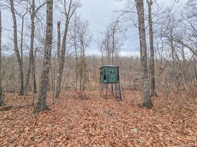 000 State Highway W, Wheatland, MO, 65779