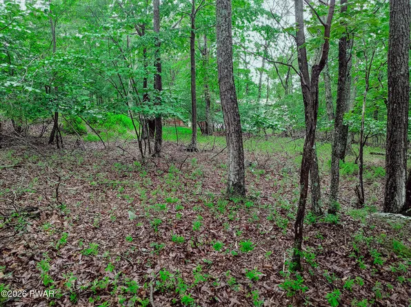 102 Rodney Rd, Milford, PA 18337