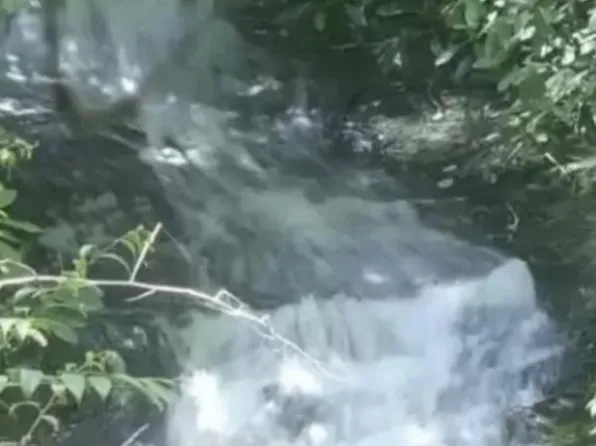 196 Wild Berry, Sapphire, NC 28774