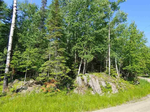 2257 Town Rd #342, International Falls, MN 56649