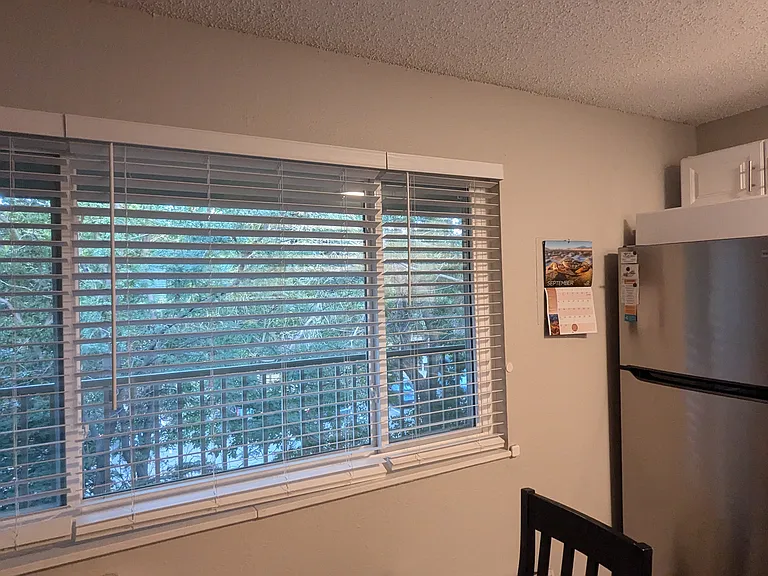 New window blinds in all windows