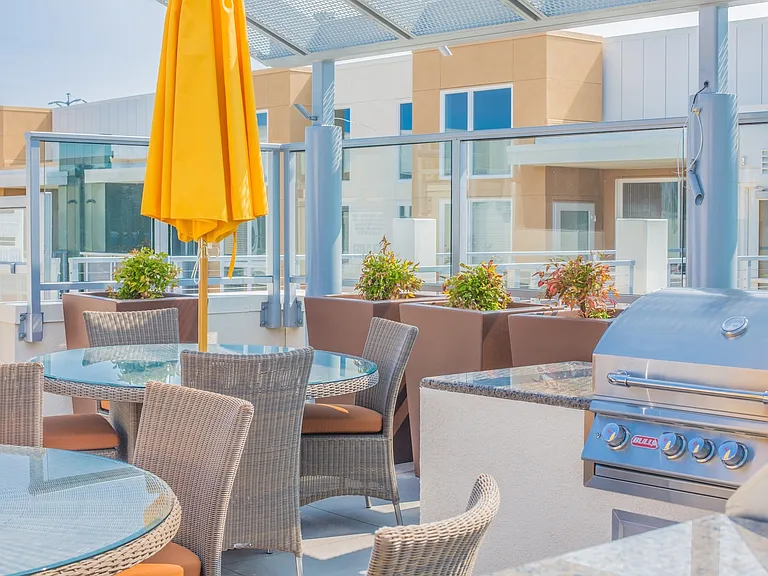 Outdoor dining and barbecue area