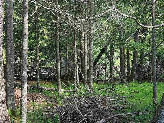 5th image of 218 Red Cedar Trl NW