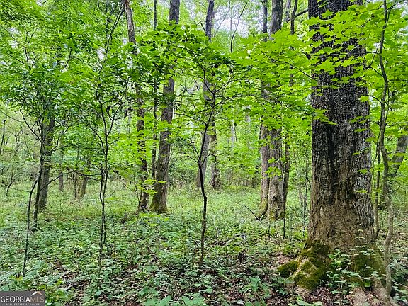 5th image of 0 Caldwell Rd Tract B1