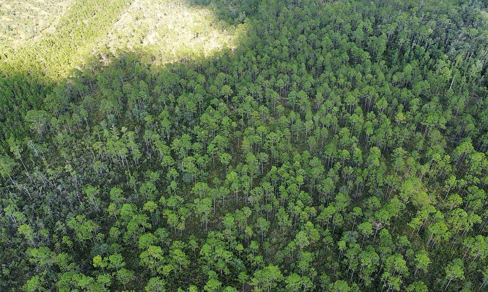 2nd image of TRACT Bergman Rd #F