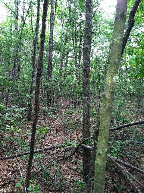 1st image of 123 Danly Ln