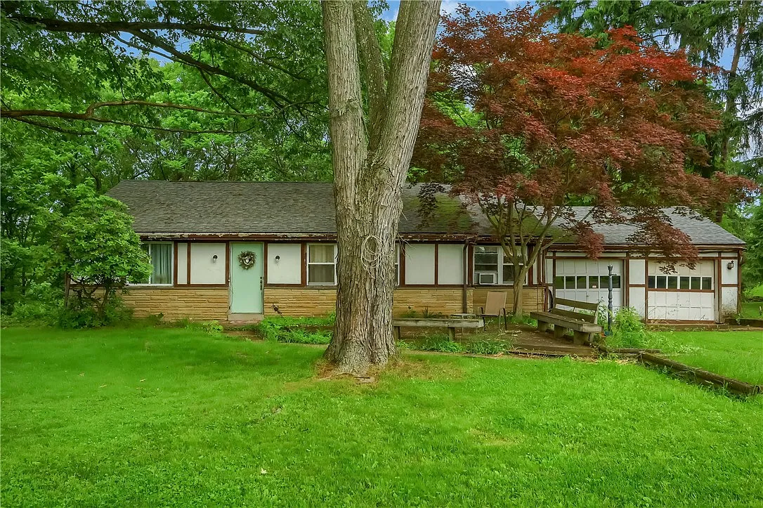 10431 Linden Rd photo 1