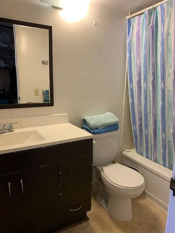 Studio, 310 sqft, $1,600 — Photo 3