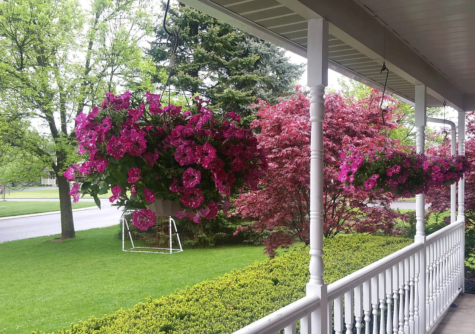 1 bed, 1.5 bath, 2114 sqft, $950 — Photo 4