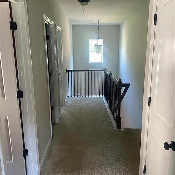 7931 Nolan Trl — Photo 8