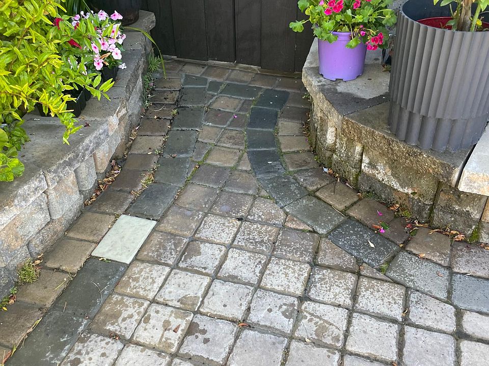 Privet patio