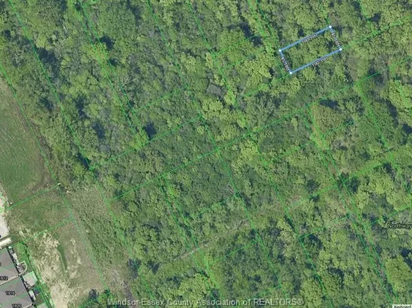 California Ave, Windsor, ON N9B 1L8