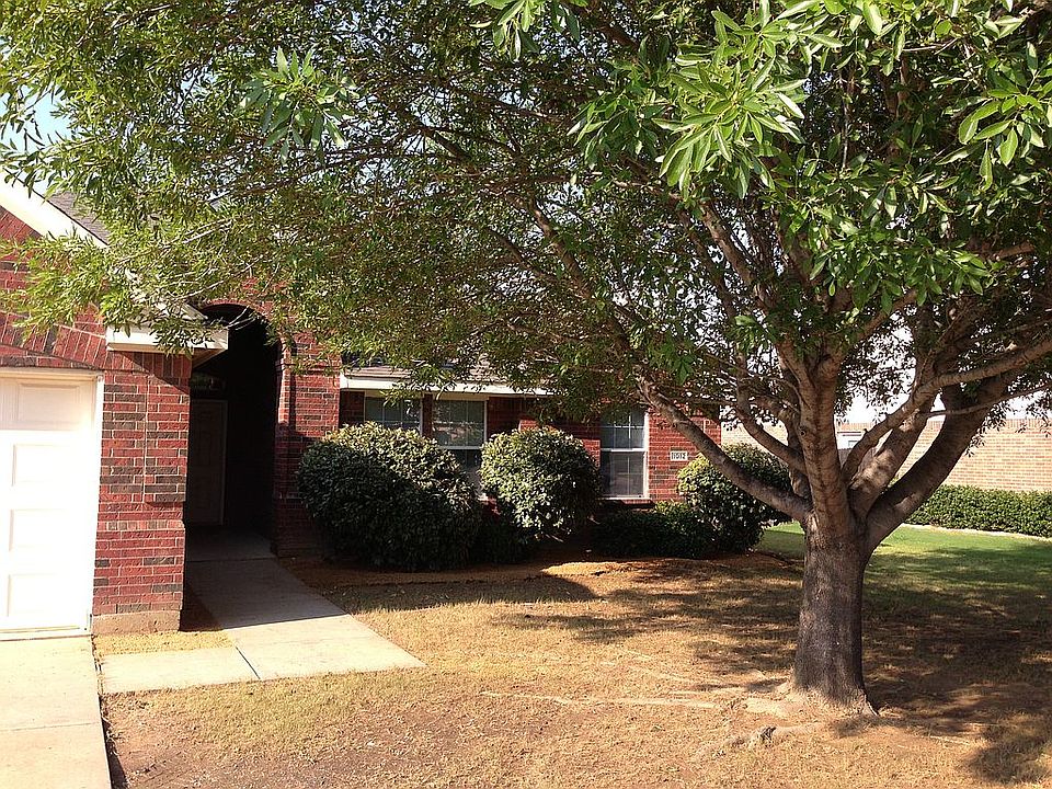 Large Tree in Front Yard