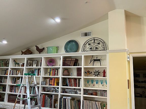 Living room built-ins