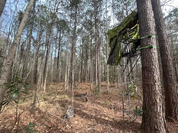 1 Bee Dr, Walterboro, SC 29488