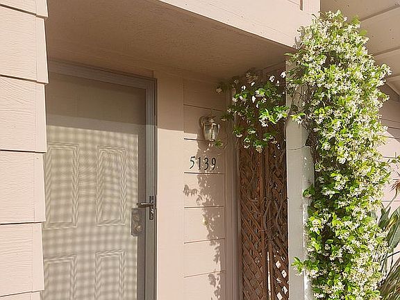 steel security screen